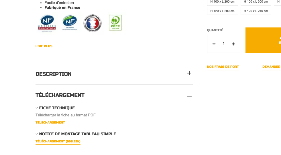 Capture d'écran onglet téléchargement